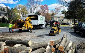 Best Lawn Mowing  in Iyanbito, NM